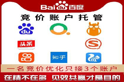 案例对比：不同竞价广告平台的优劣