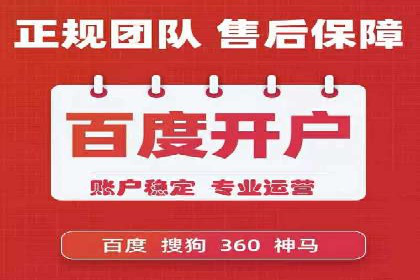 大型SEM服务公司案例分析