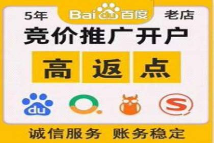 探索百度竞价排名的奥秘：成功案例分享